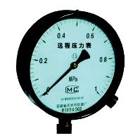 YZ 壓力真空表